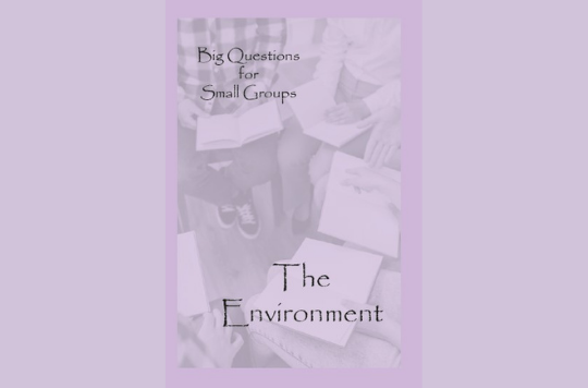 The book cover for Big Questions for Small Groups: The Environment