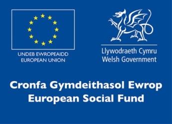 EU social fund logo