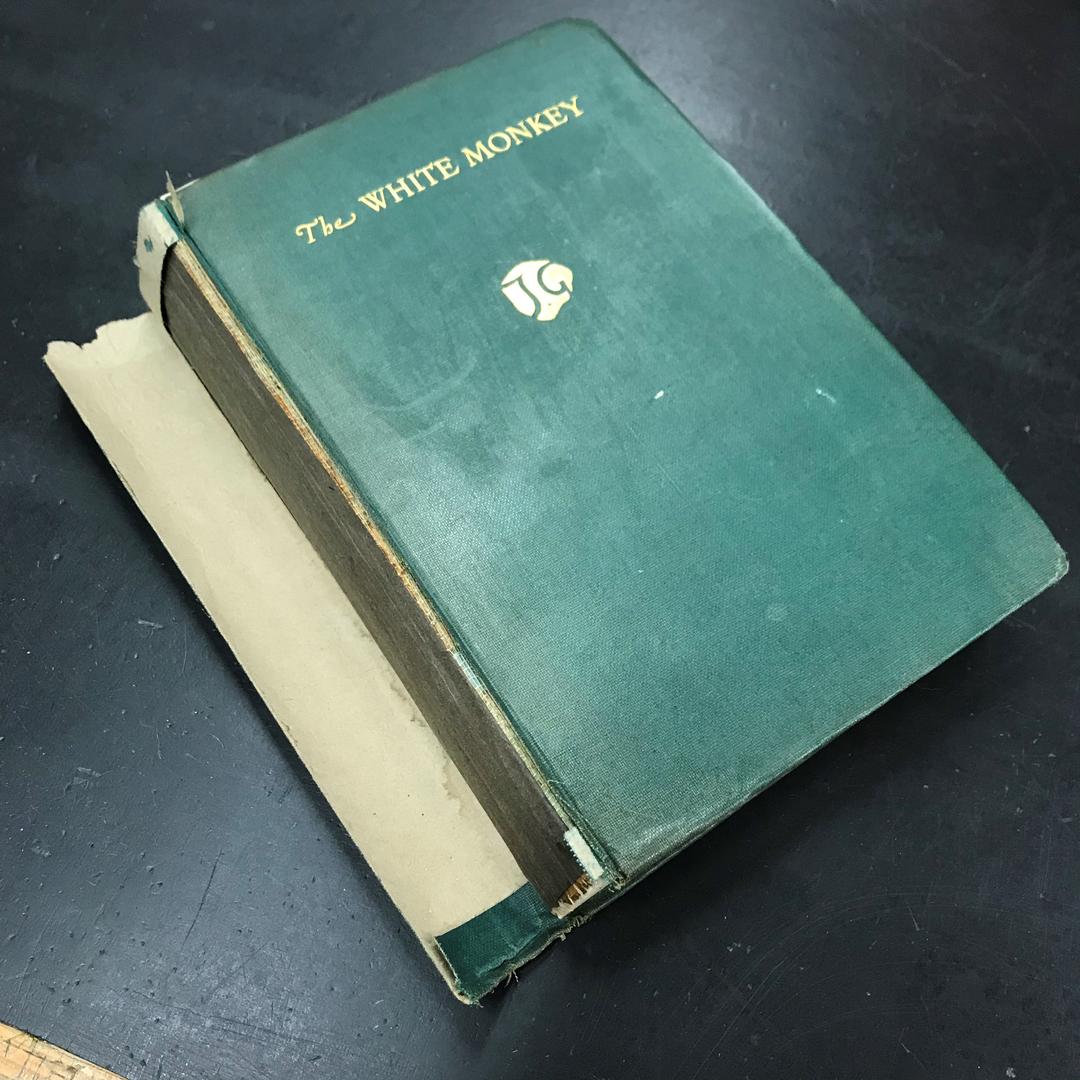 The book before conservation treatment