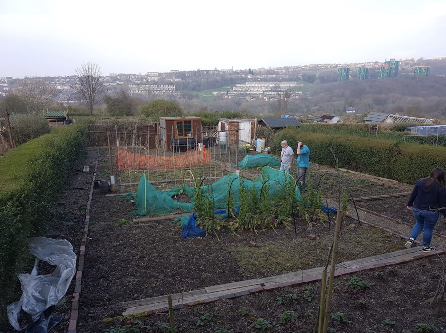 Lifehouse residents at Sheffield allotment