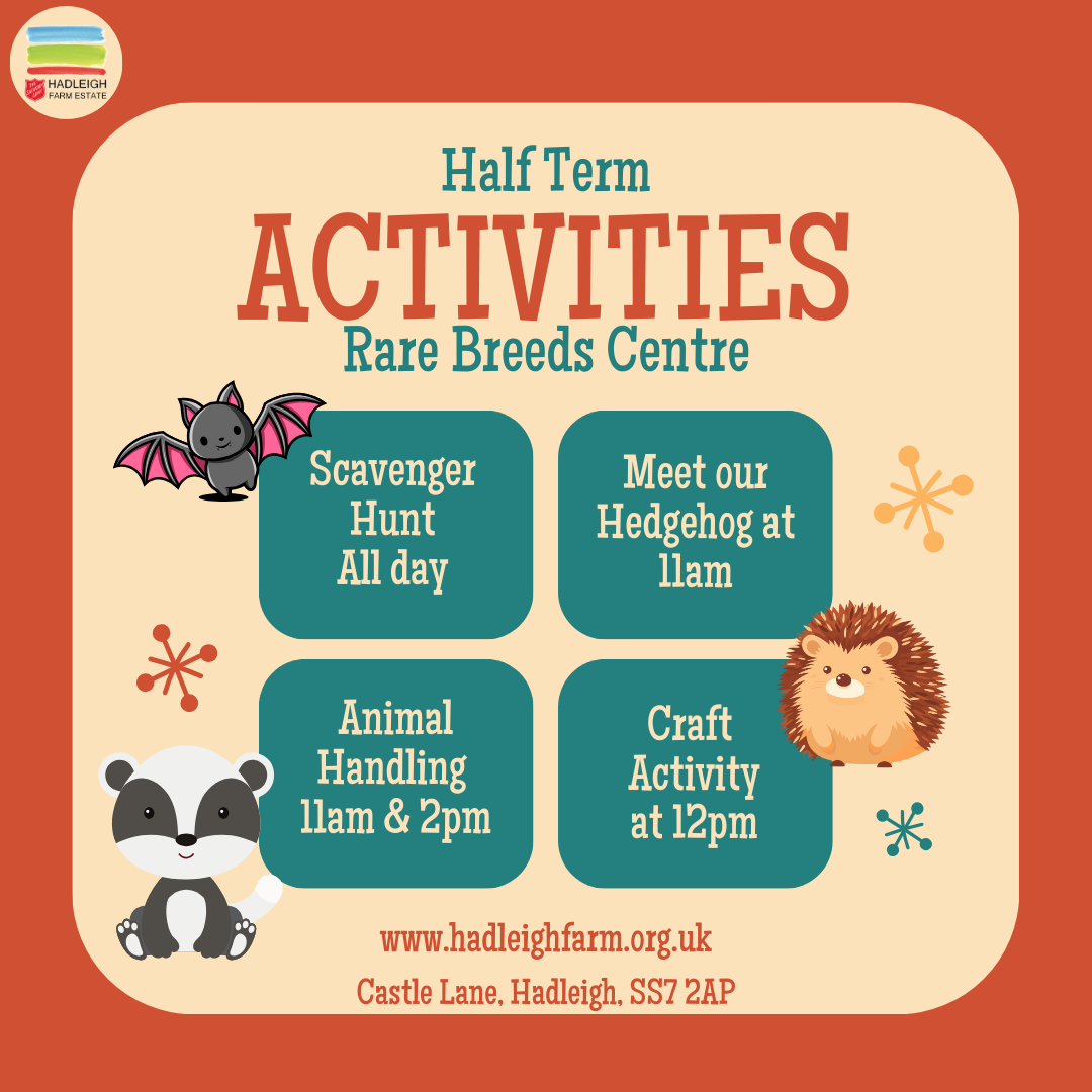 Half Term Activities on the Rare Breeds Centre