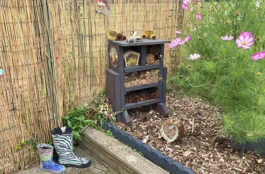 A picture of a garden