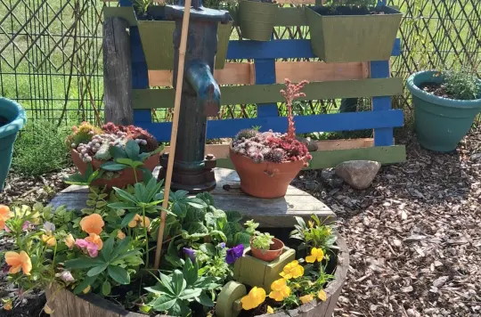 A picture of a community garden 