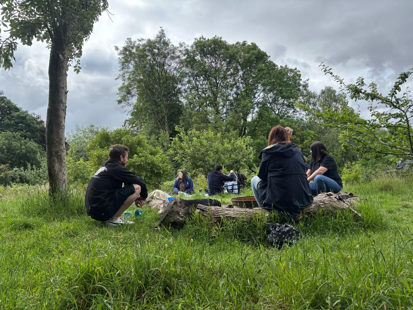 Toddlers in the park