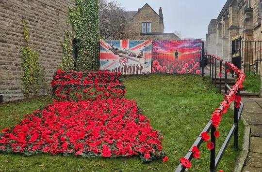 A poppy display for Remembrance Day 