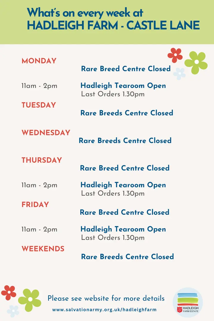 What's On - Castle Lane