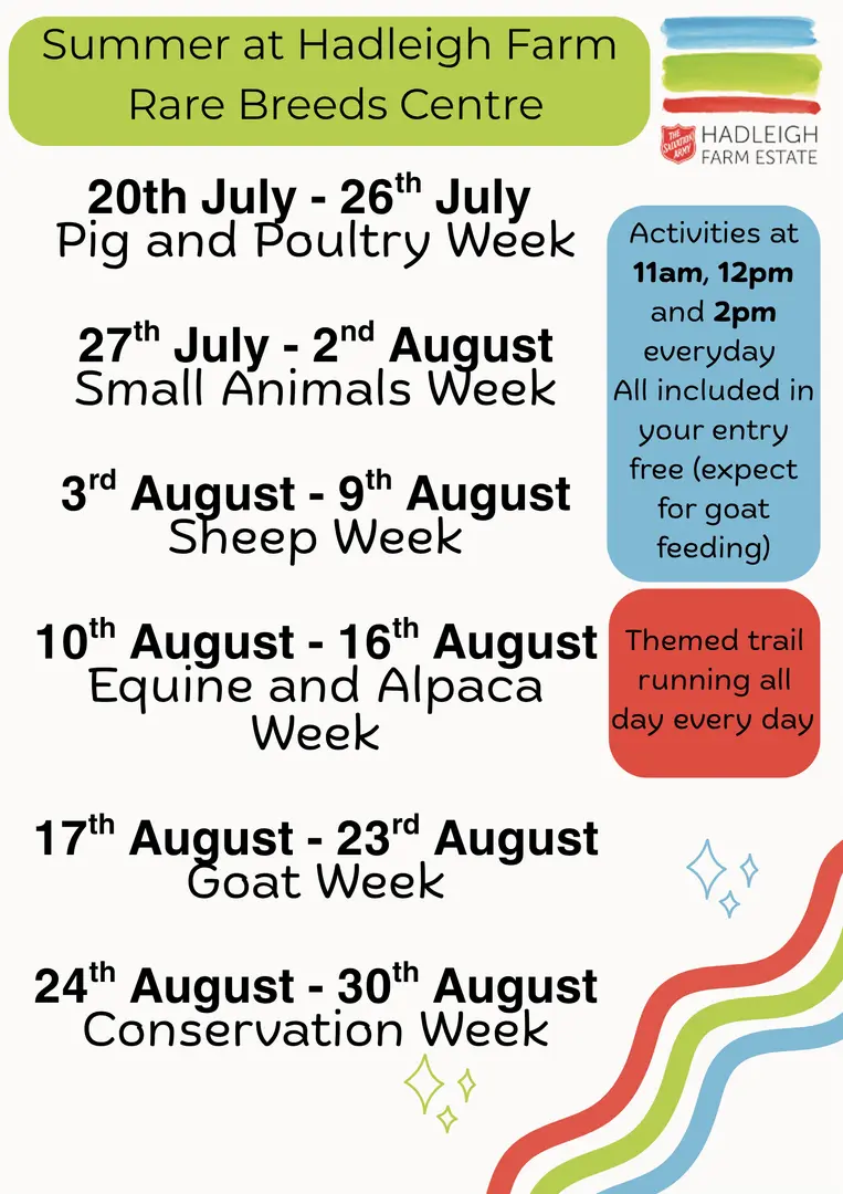 RBC Summer Activities